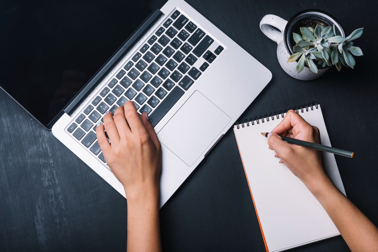 Business Writing + Programming Services